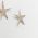 Starfish Silver Earrings. Handmade solid silver 925°.