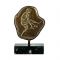Long Jump, Olympic Games, Brass Plaque with patina, on greek black marble base, with white and grey waters.